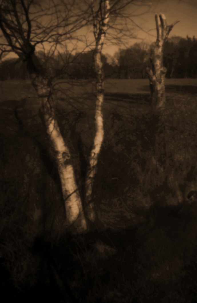 bL1007795_b_1060px