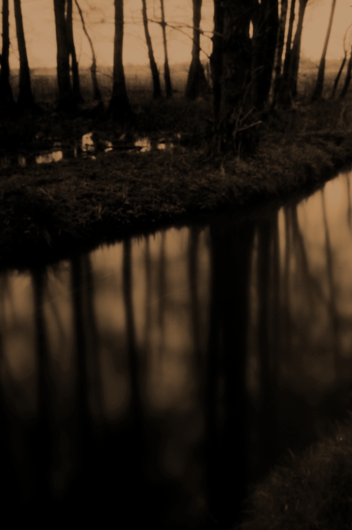 bL1007753_b_1060px