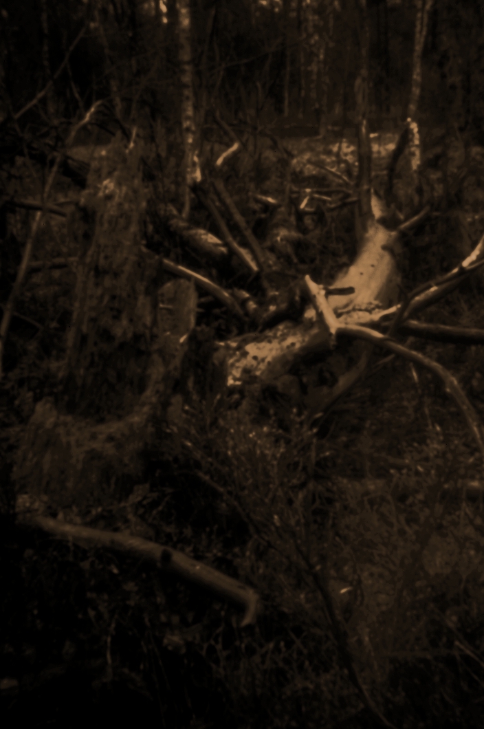 gL1007751_b_1060px