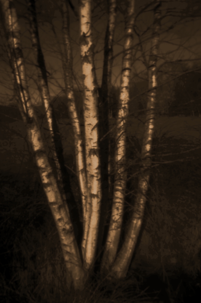iL1007790_b_1060px