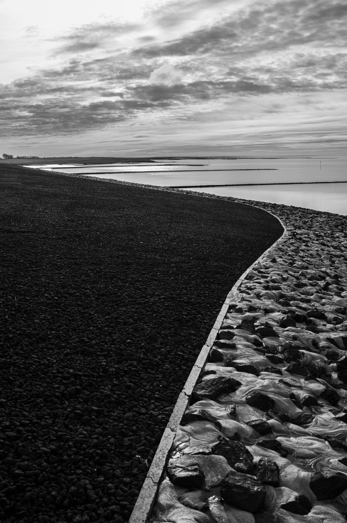 Leicaforum-15-Likes