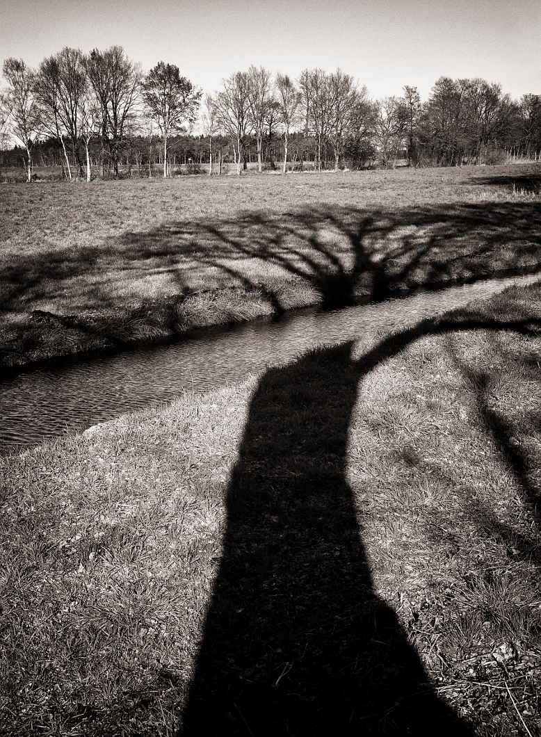 DSC01550_SE005TriX